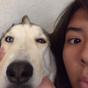 Meet your Posher, Alexsy